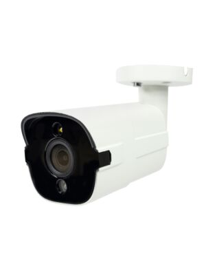 Camera supraveghere video PNI IP818JS, POE