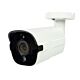 Camera supraveghere video PNI IP818JS, POE